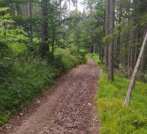 Cesta od parkoviště k hrdlu Hornádu