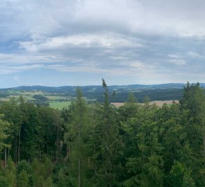 View from the lookout tower towards the west