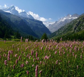 Kemp Pont Breuil - nástupní místo při treku na Gran Paradiso