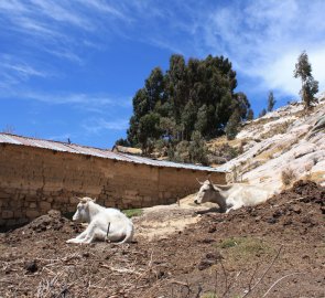 Home comfort on Isla del Sol