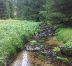 Horský potok při návratu do Přední Výtoně na Šumavě