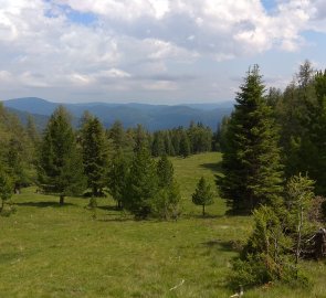 Hranice lesa pod vrcholem Rinsennoc