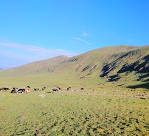 Meadow near the Ivan Vazov cottage