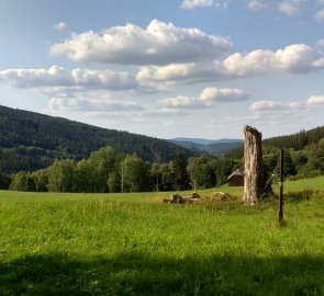 Šumavské louky u hranic s Německem