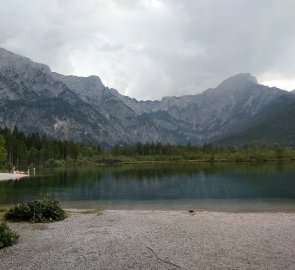 Almsee