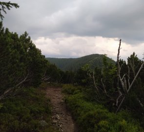 Stezka na vrchol Beňušky