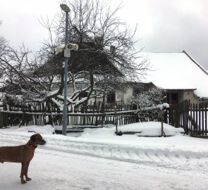 Roubenka ve Studnici a náš fotomodel Bono :-)