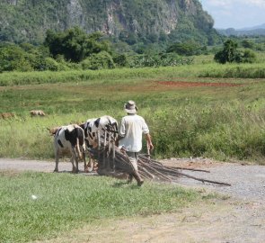 Mimo hlavní trasy údolí Viñales  potkáte sdílné místní farmáře