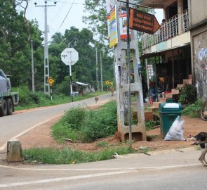 Cesta ke skalní pevnosti Sigiriya na Sri Lance