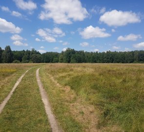 Path under Bezděz