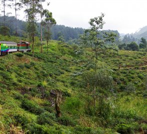 Cestou vlakem do Hattonu, odkud jsme jeli autobusem do Dalhousie