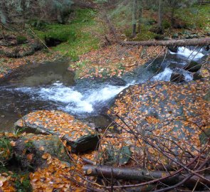 Jeseníky Mountains in Czechia