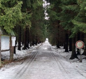 Cesta od parkoviště směrem k hřebenu