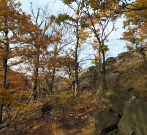 Trail to the top of Mount Jezeří