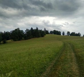 Polní cesta na vrchol Kamenice