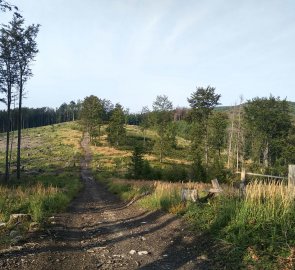 Široká cesta na Kelčský Javorník 865 m n. m.