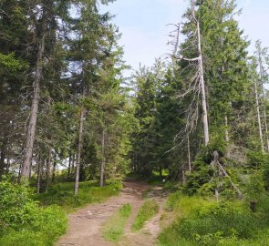 The trail ascends the state border