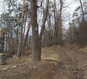 A wide forest path leads from the village of Hradčany