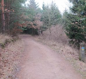 The road to Tišnov