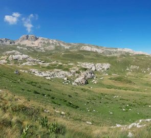 Wide meadows where the ascent leads