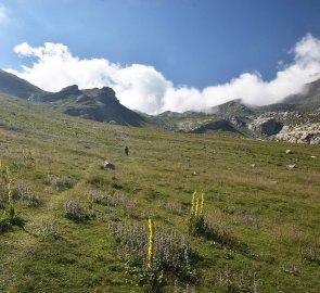 Climb through wide meadows to the summit