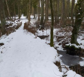 Cesta zpět k zámku Kozel