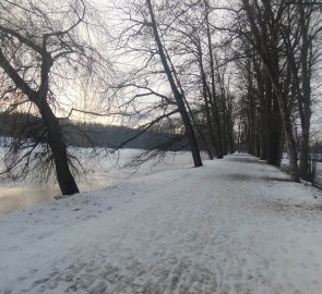 Cesta kolem Lopatského rybníka