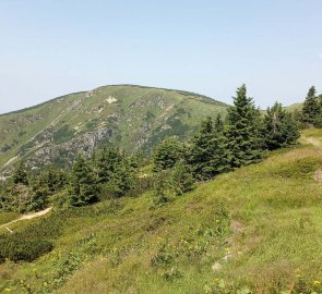 The path from Medvědín to Vrbatova bouda