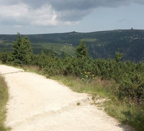 Bouchar's way to Labská bouda