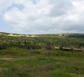 On the way to the source of the Elbe - view of the High Plain