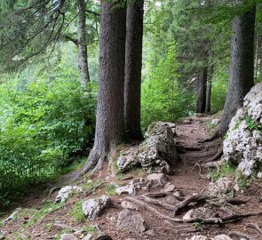 Trail around the lake