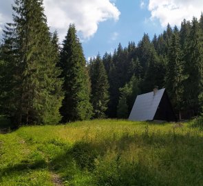 Stezka v Suché dolině, kde byli podle varovné cedule medvídci