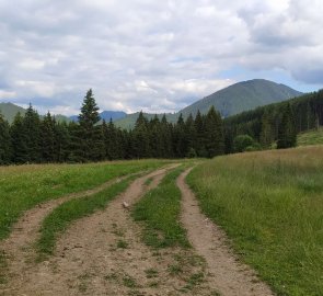 Neznačená cesta zpět do Jánské doliny