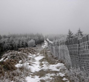 Rovná cesta z vrcholu Loučné podel Flájské obory