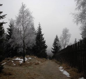 Cesta kolem Flájské obory