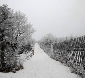 Závěrečný výstup podel obory na Loučnou