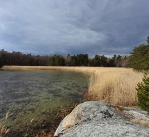 Beautiful nature in the Lövhagen area