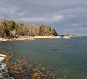 The seashore in the Lövhagen area