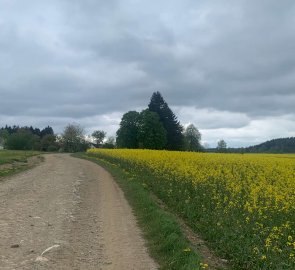 The way back to Borová