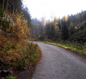 První studánka po asi 100 metrech chůze z parkoviště