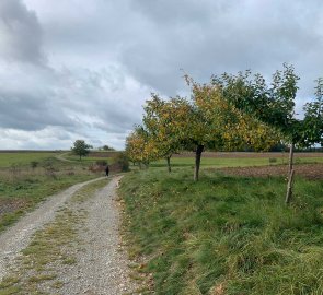 The path from the Island near Macocha to the Macocha abyss