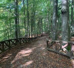 The path to the valley of the Punkva River