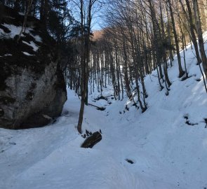 Climbing in the forest to the saddle below Kraviarský