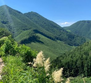 Descent from the hut to the Vrátna valley