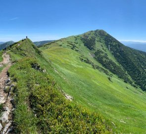 View from Mount Pekelník to Velký Kriváň