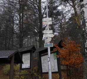 Rozcestník U Kalicha při vstupu do lesa