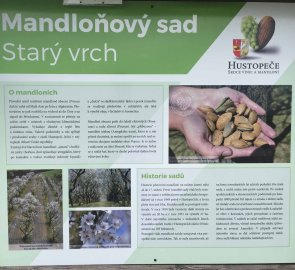 Informační tabule Mandloňového sadu na Starém Vrchu