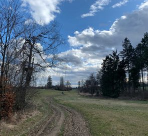 Field road to the village of Bítovánky