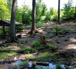 Přístřešek u Dašovské studánky