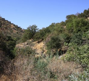 Kaňon chráněné krajinné oblasti Yehudiya Nature Reserve